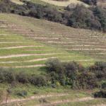 ཉུང་སུ་ཅིག་ལས་མེད་པའི་ སོ་ནམ་ཞིང་ཚུ་ ལེགས་ཤོམ་སྦེ་ ལག་ལེན་འཐབ་ནི།